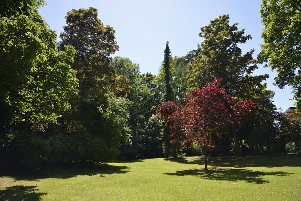 Le Chateau D'Hermonville B&B / Chambres D'Hotes מראה חיצוני תמונה