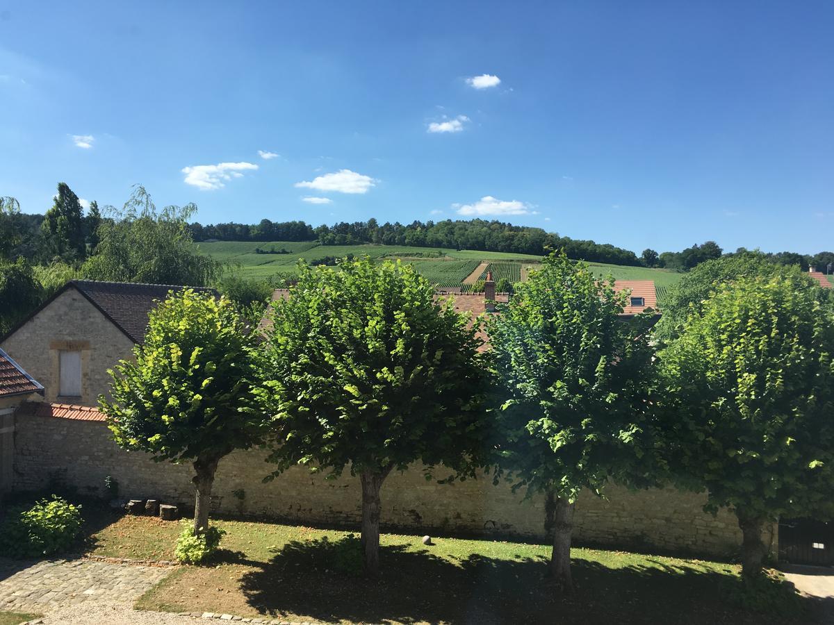 Le Chateau D'Hermonville B&B / Chambres D'Hotes מראה חיצוני תמונה