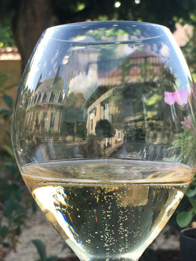 Le Chateau D'Hermonville B&B / Chambres D'Hotes מראה חיצוני תמונה